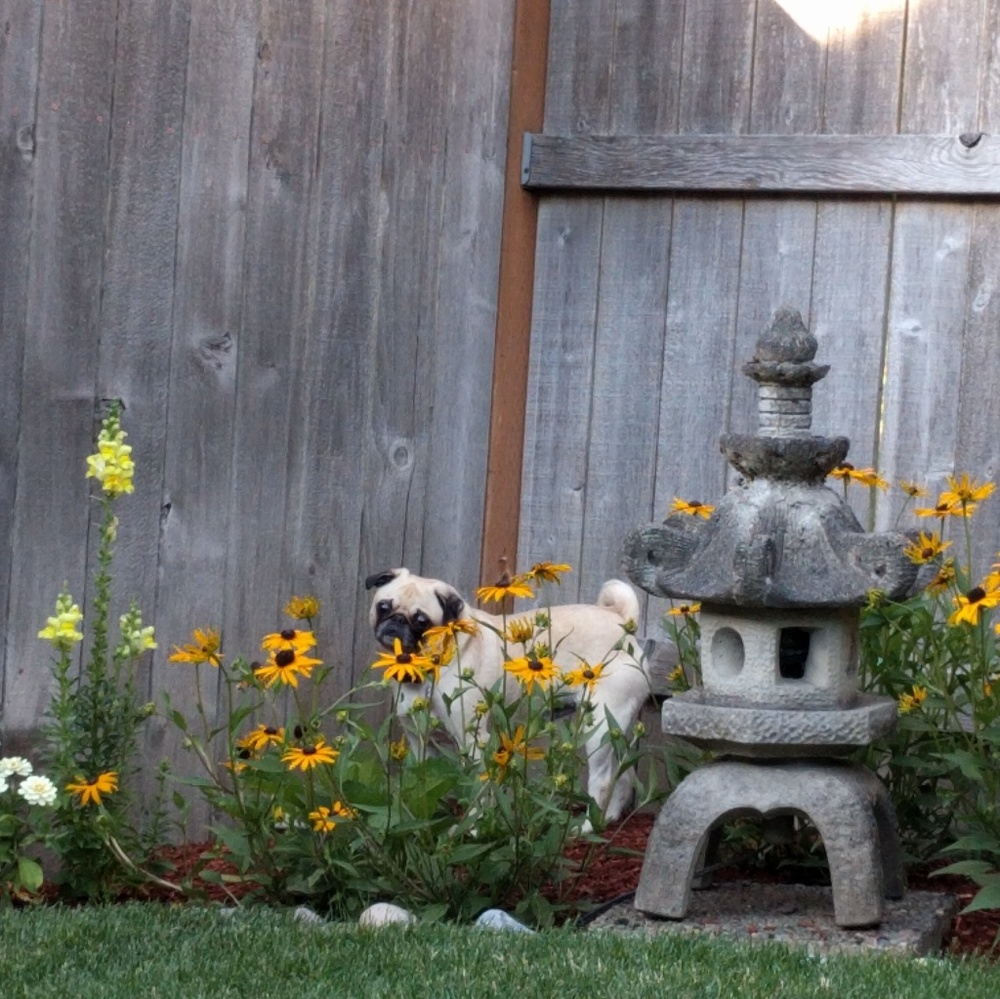 Check back for new items!